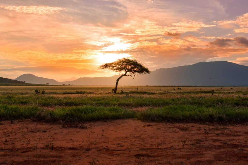 African landscape at sunset, illustrating sustainable development investment in emerging markets